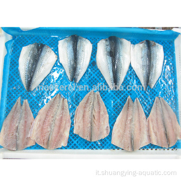 BQF/IQF Flap di mackerel surgelato con standard UE